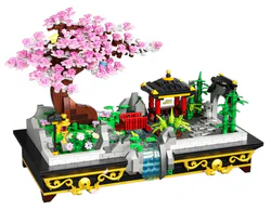 Sakura plant