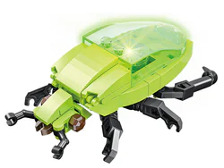 Insect Kingdom: Golden Turtles