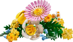 Sunshine flowers