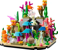 Coral reef stereo models