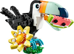Tropical Mouthbird