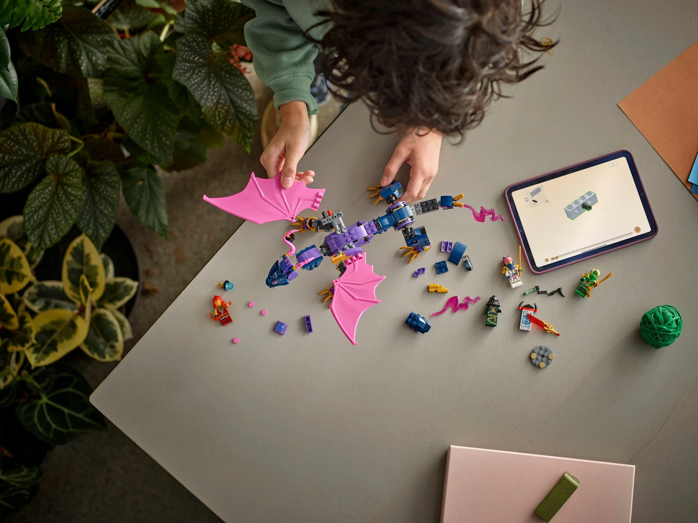 Master Dragon Chart 乐高 LEGO 71842 image 5