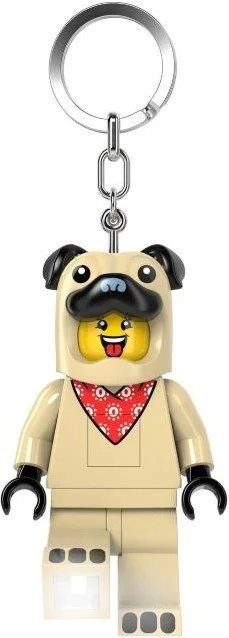 The dog's hand key button
