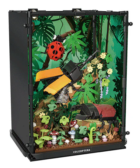 Beetle Family Ecological Box T3010