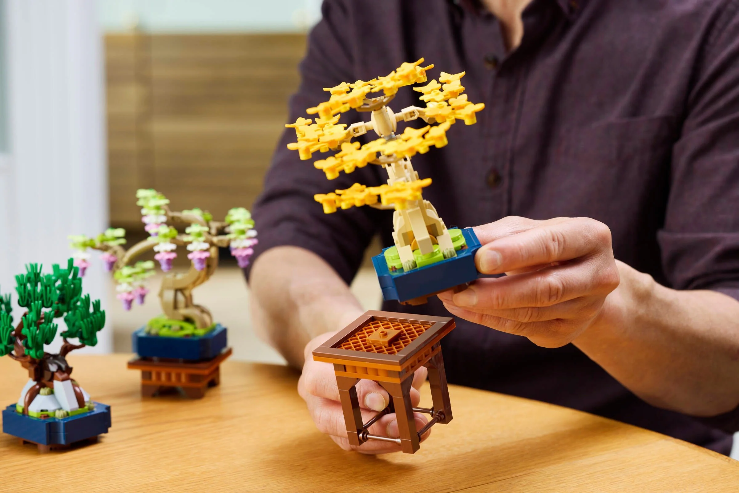 Mini-Leave 乐高 LEGO 10373 image 9