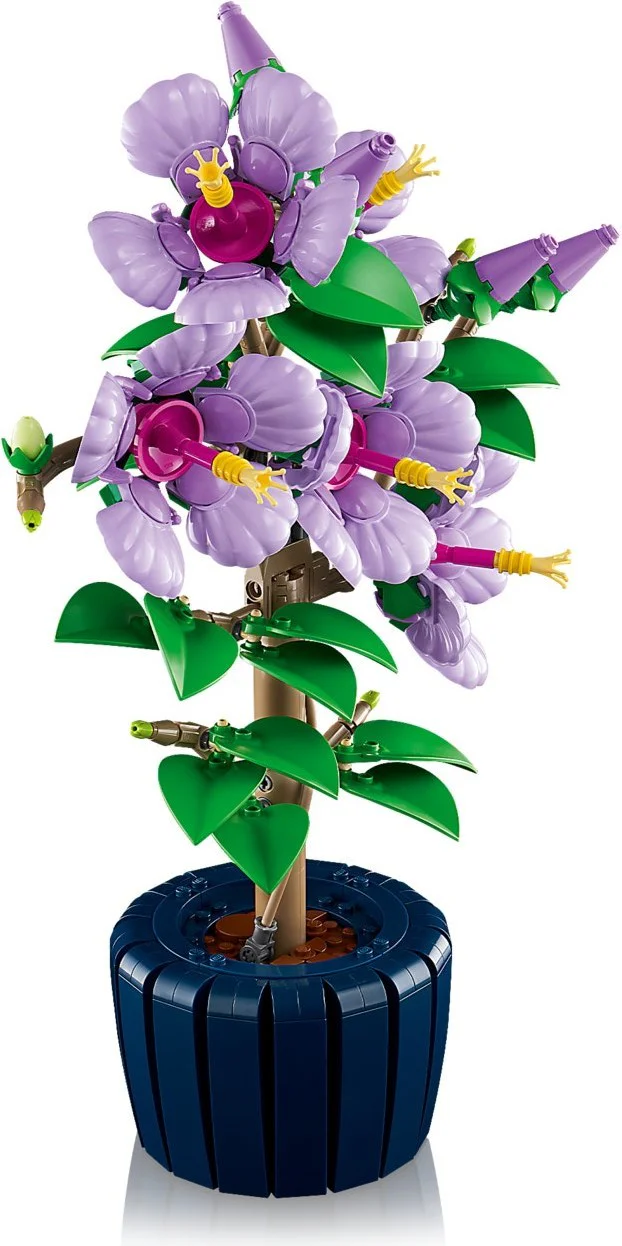Fu Yong 乐高 LEGO 10372 image 4