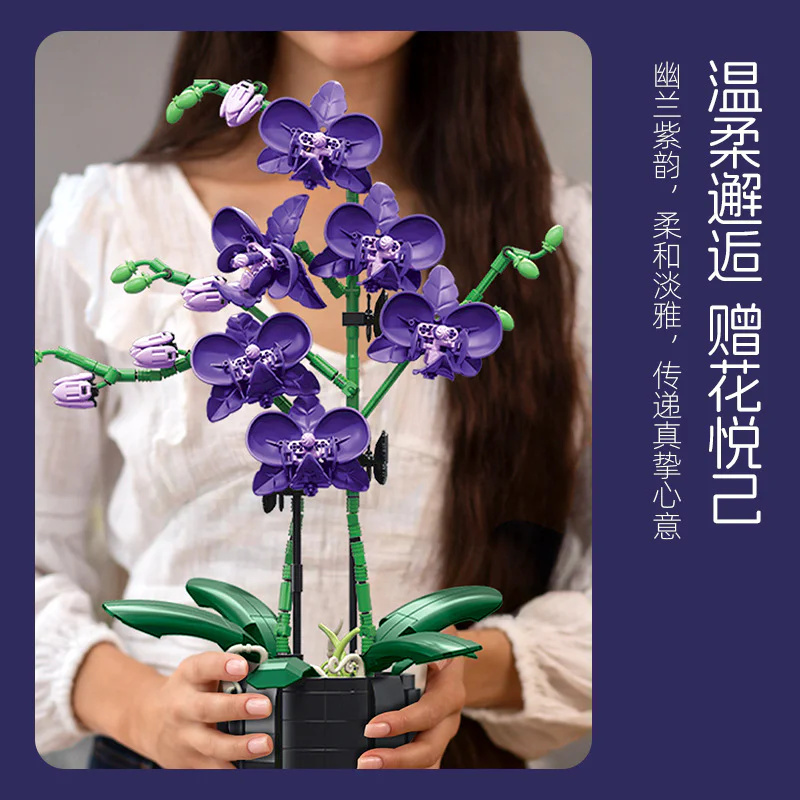 幽兰紫韵 杰星 JIESTAR JJ9235 image 5