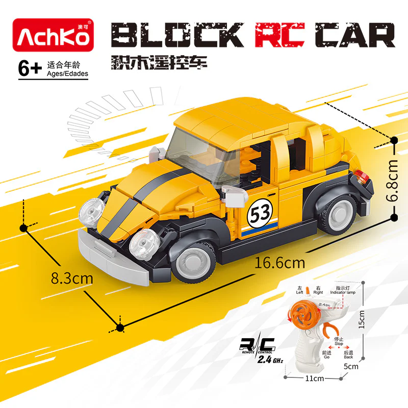 Beetle AchKo 70061