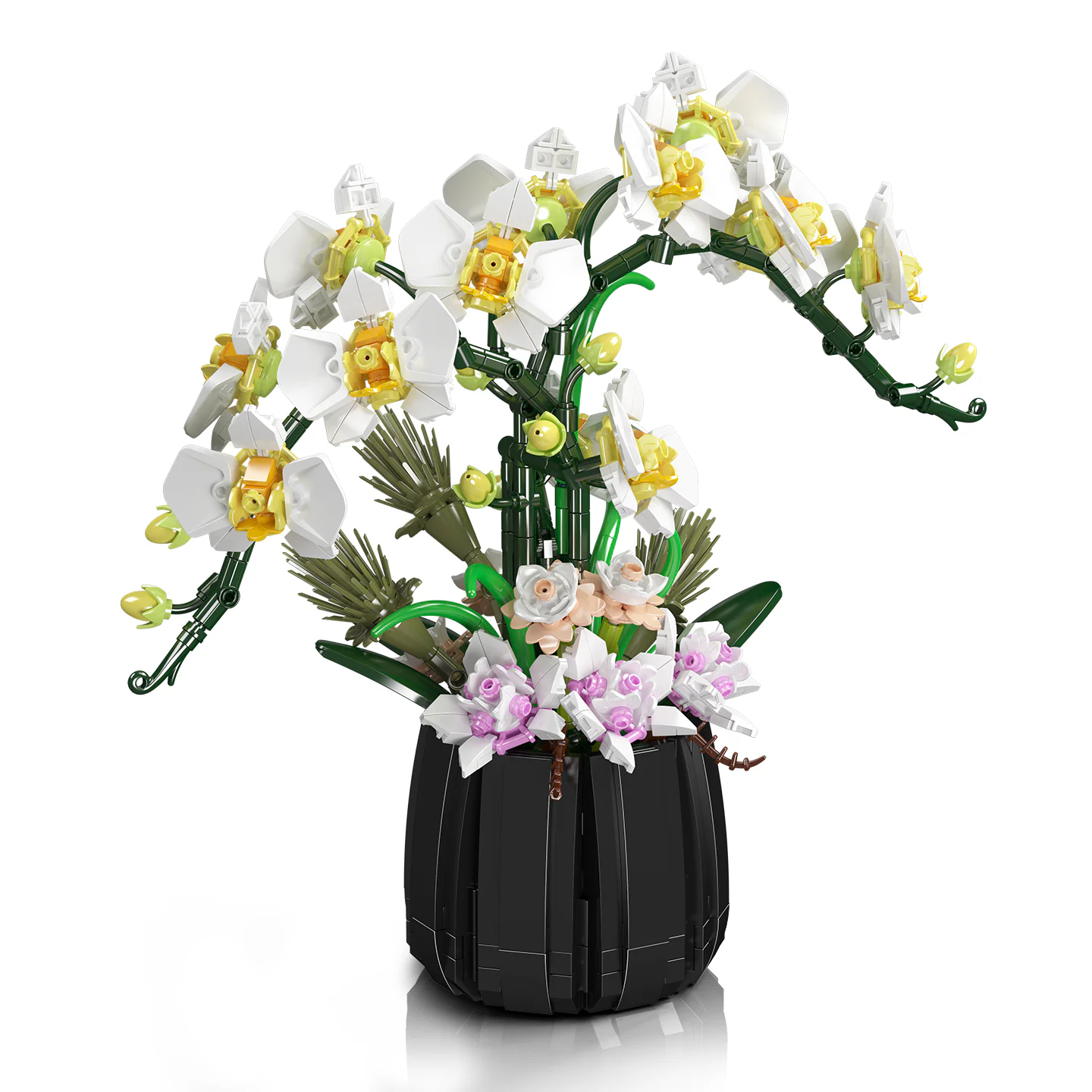 Orchid MOULDKING 24108