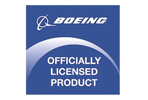 Boeing 787 aircraft 乐高 LEGO 10177 image 2