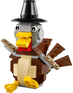 Thanksgiving: Thanksgiving turkey