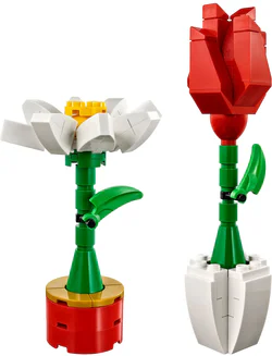 Valentine's Day: Flowers, roses and lilies