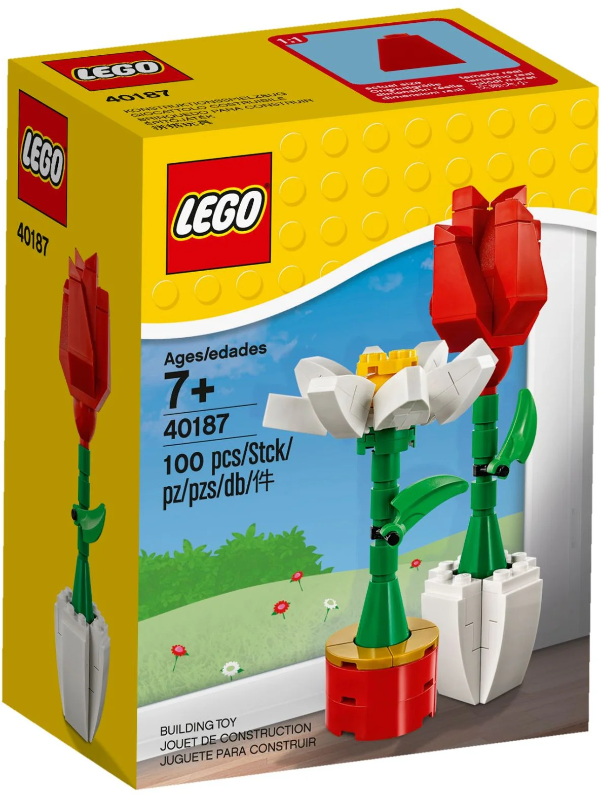 Valentine's Day: Flowers, roses and lilies 乐高 LEGO 40187 image 1