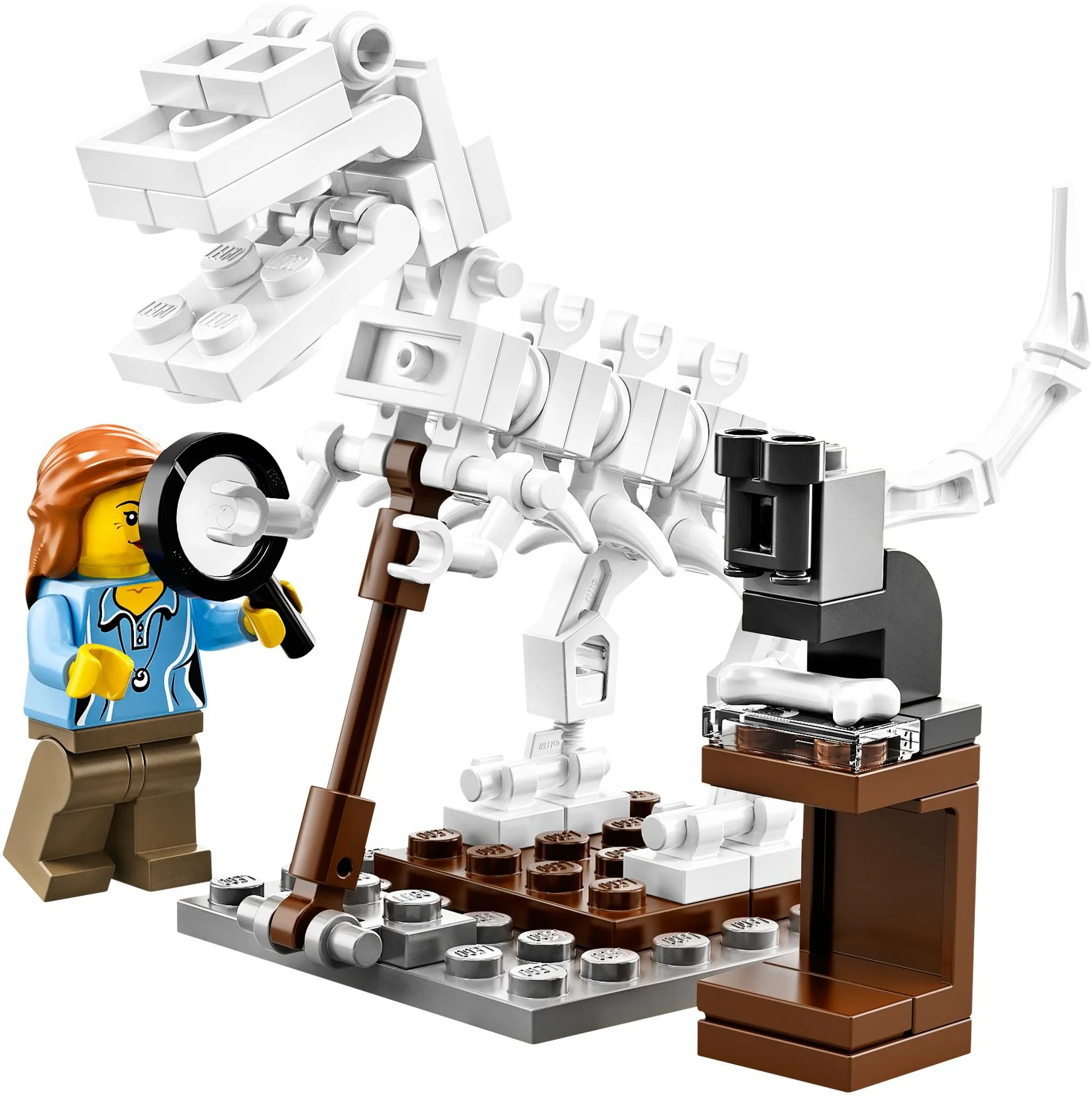 Institute 乐高 LEGO 21110 image 2