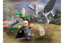 Harry Potter: Prisoner of Azkaban: The encounter of Brother Xian and the Eagle Maba