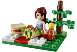 Good friend: Summer: Mia's summer picnic