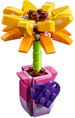 Good Friends: The Blossom of Friendship