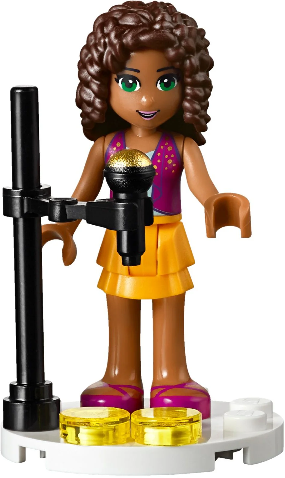 Good friend: Heart Lake Show School 乐高 LEGO 41134 image 8