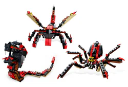 Spider