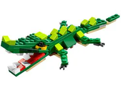 Crocodile