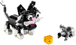 Transforming Pet