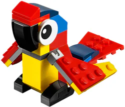 Parrot