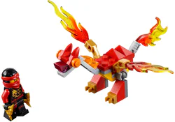 Ninja Fire Dragon