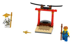 Master Wu's training field