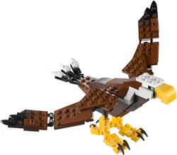 Creative Transformation Team's Versatile Hawk