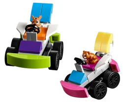 Good buddy: Pet racing kart competition