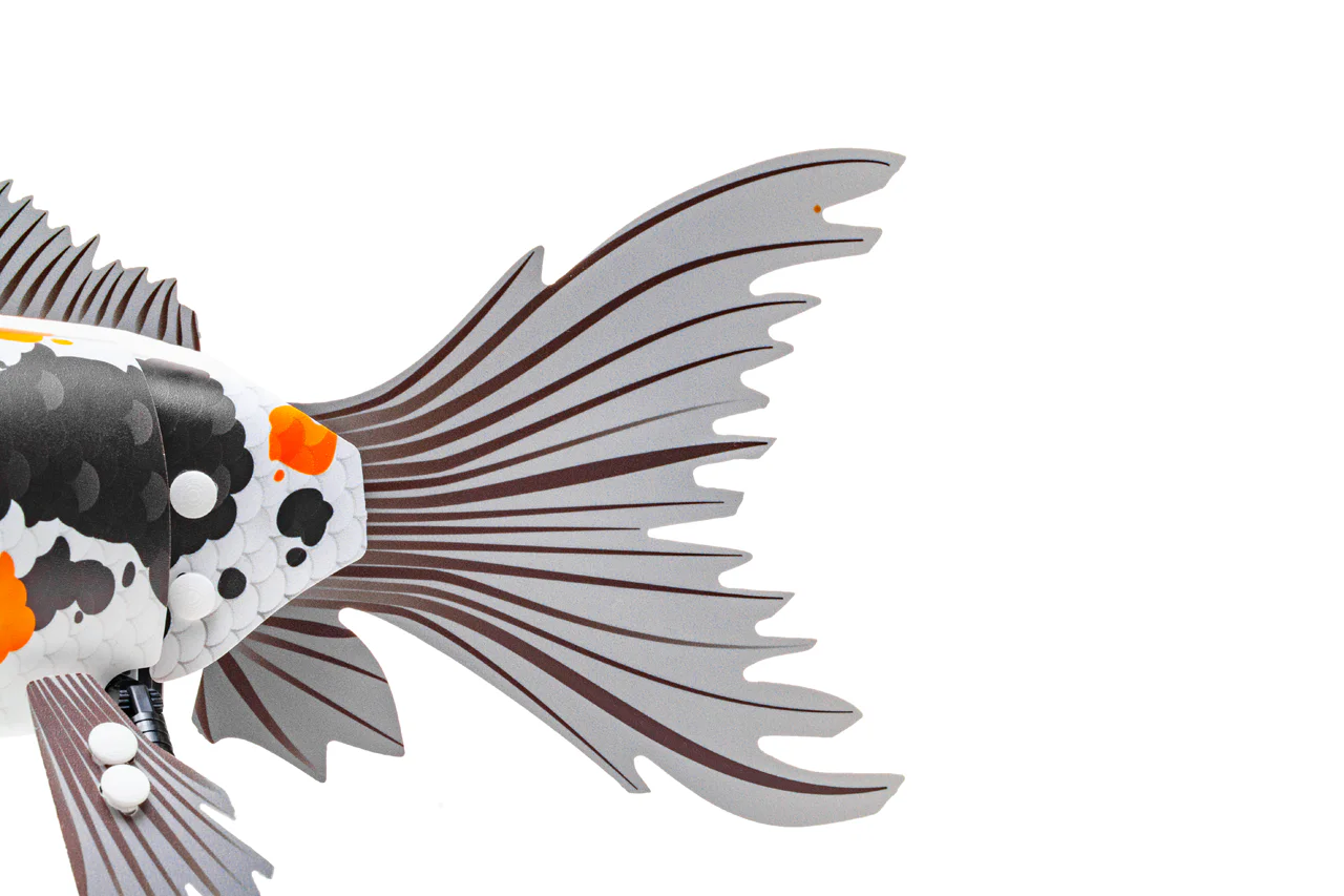 Formless: The Legend of the Golden Fish 20091 image 3