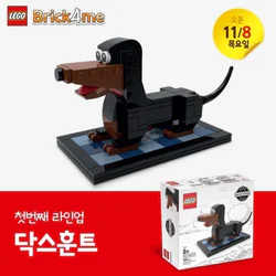 Desirable: Dachshund sausage dog
