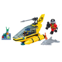 Deep-sea diving: dolphin observation boat