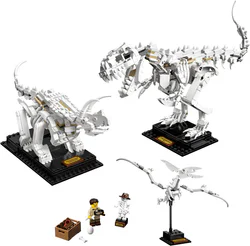 Fossilized dinosaur.