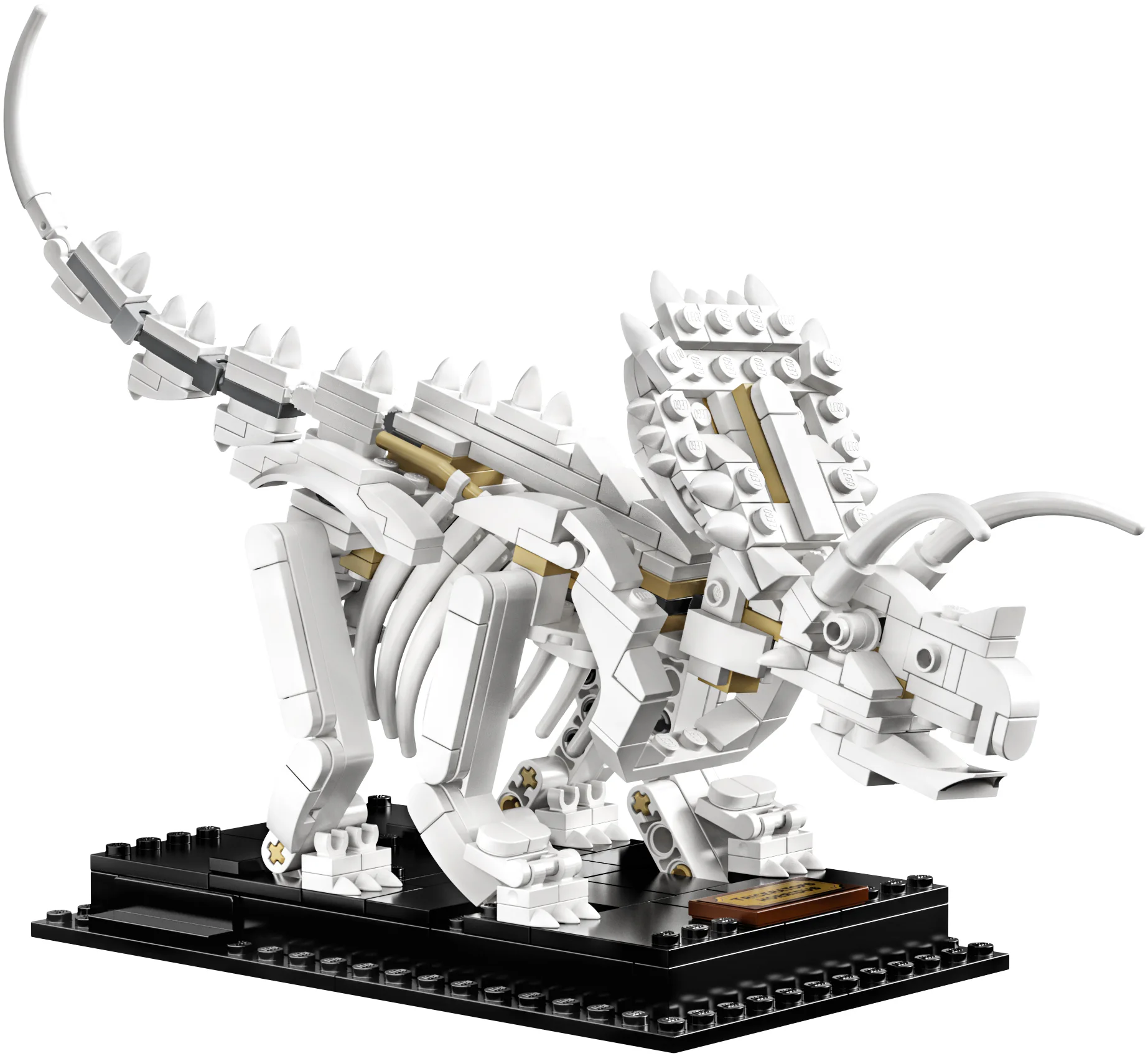 Fossilized dinosaur. 智蒙ZIMO 60008 image 5