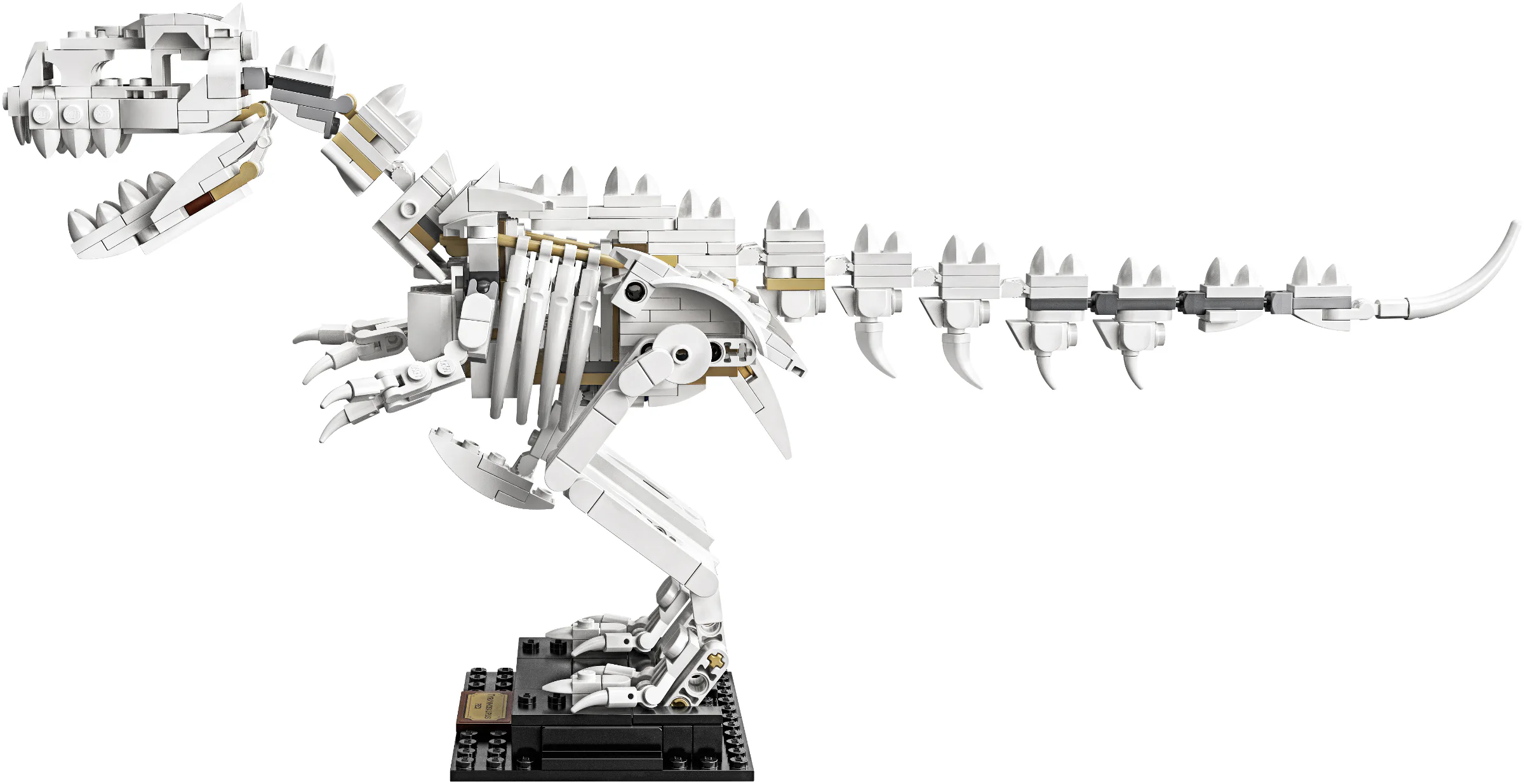 Fossilized dinosaur. 智蒙ZIMO 60008 image 8