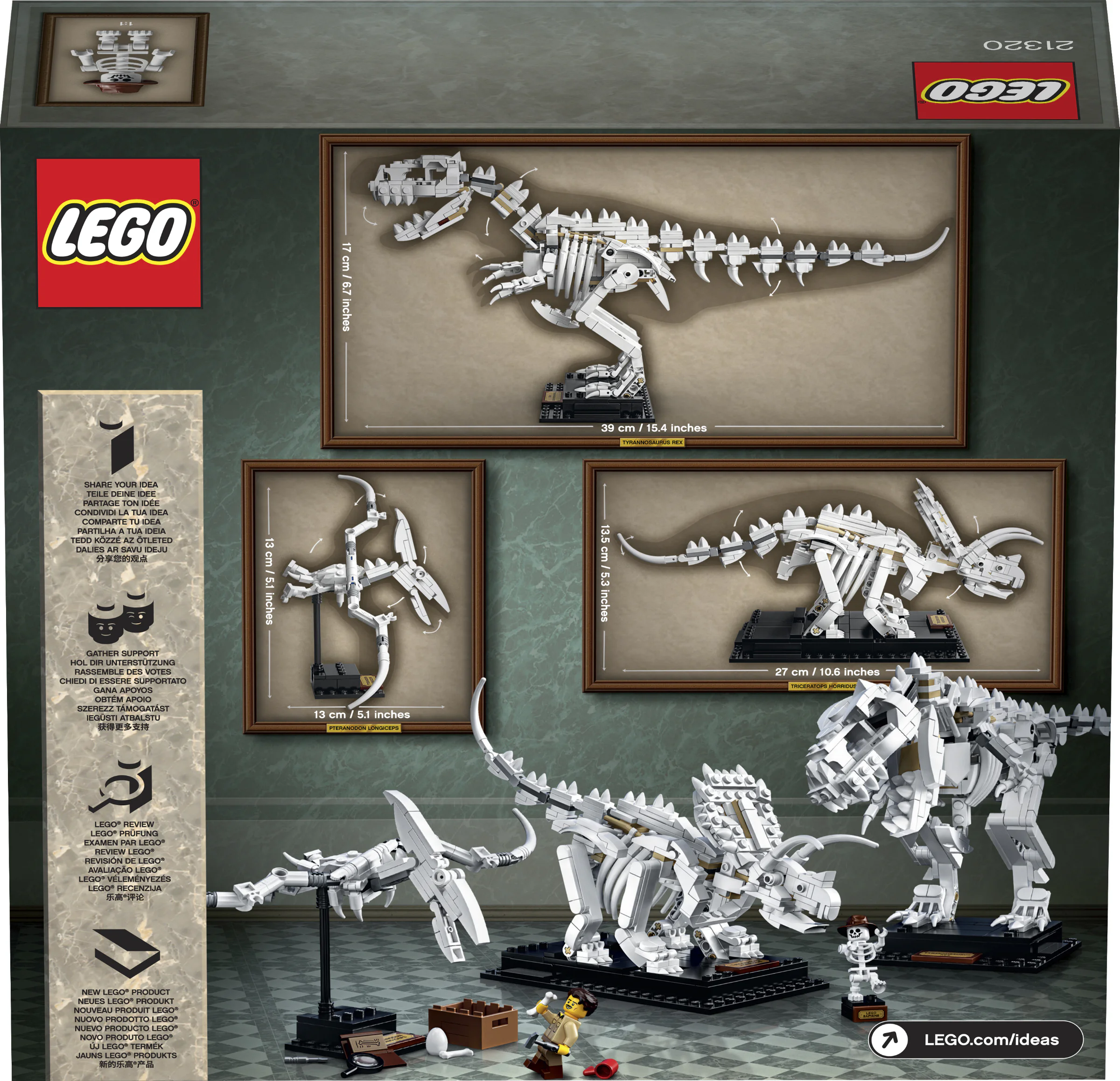 Fossilized dinosaur. 智蒙ZIMO 60008 image 12