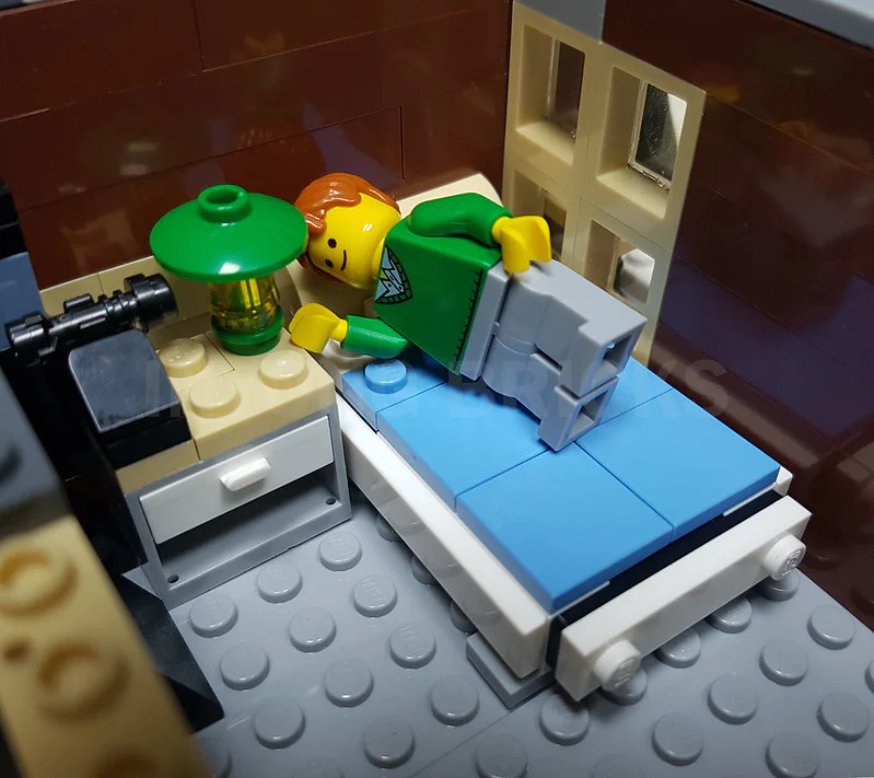 Philosophy Street Scenery: Bookstore (located inside pet store 10218) MOC-18923 image 24