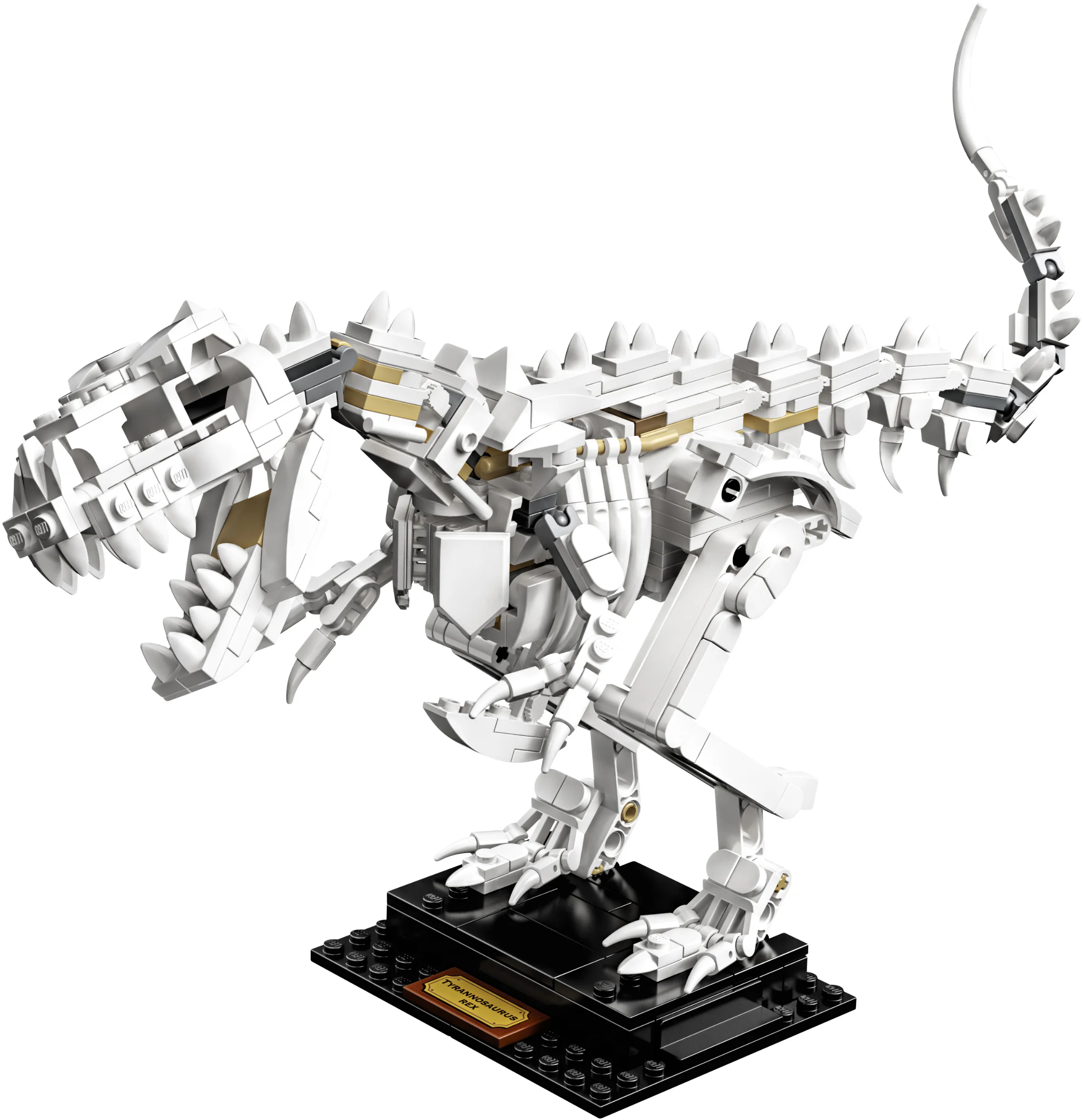 Fossilized dinosaur. 智蒙ZIMO 60008 image 19