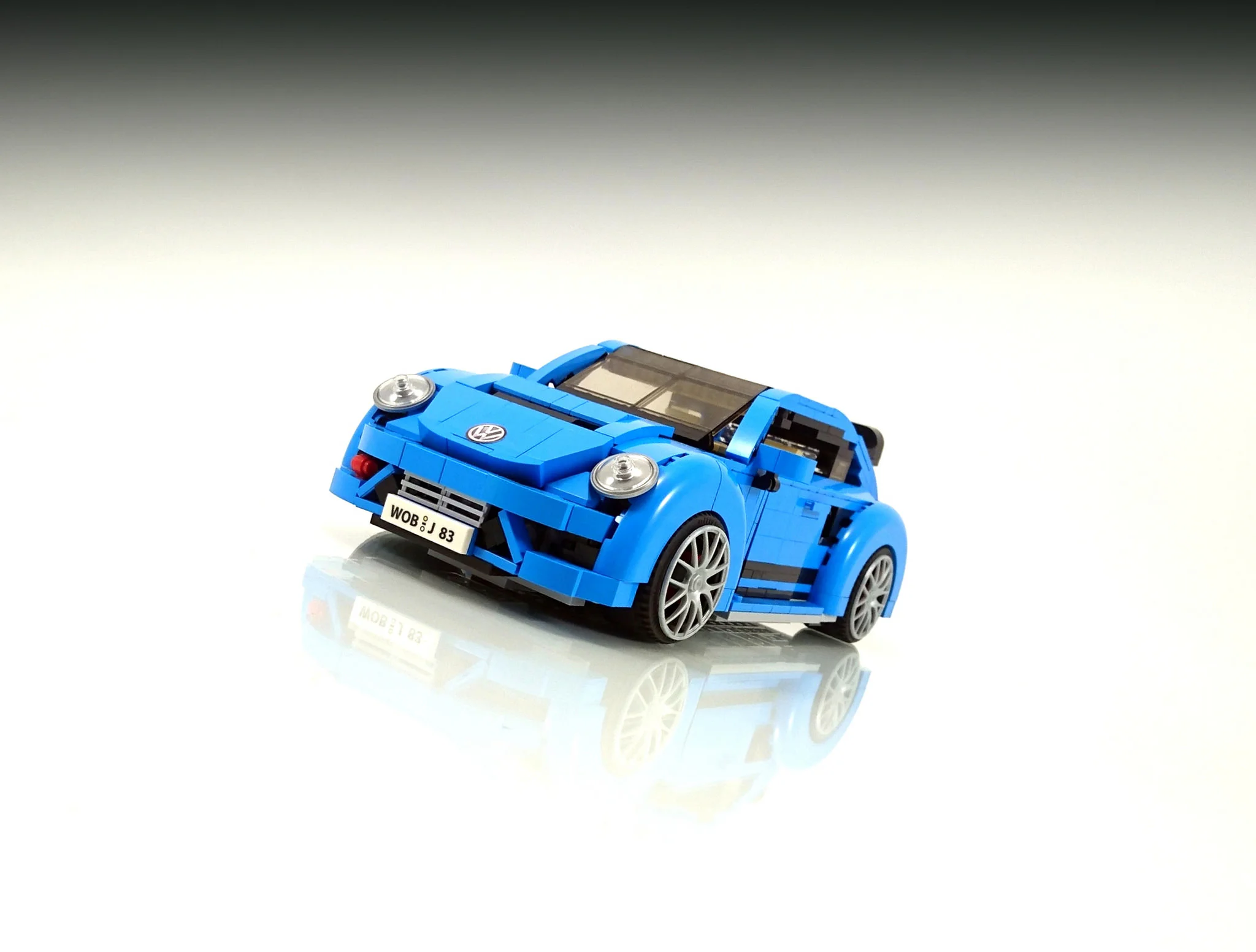 Crustacean shell MOC-22874 image 4