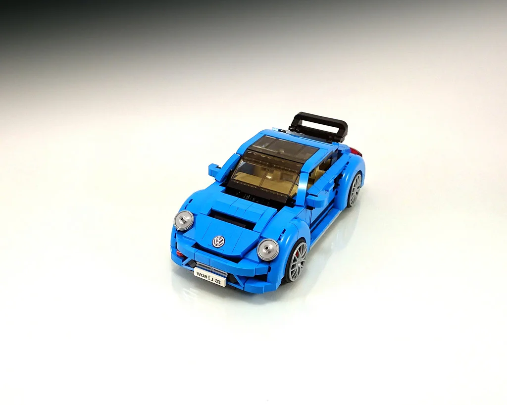 Crustacean shell MOC-22874 image 9