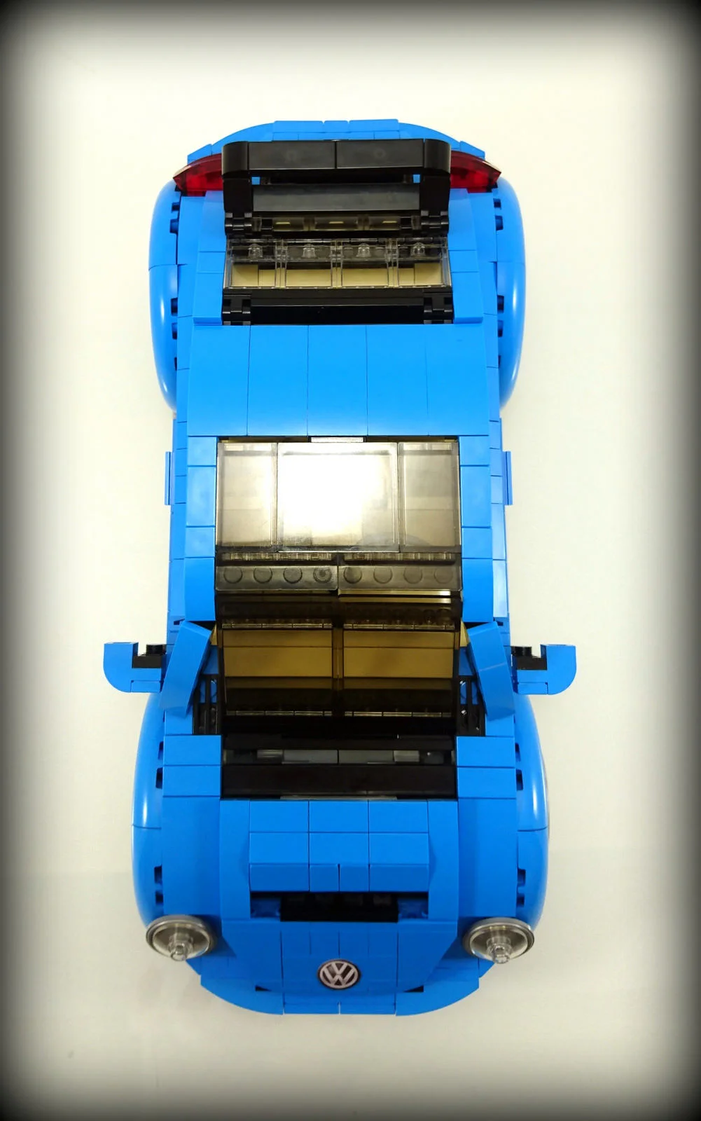 Crustacean shell MOC-22874 image 13