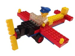 Airplane and pilot