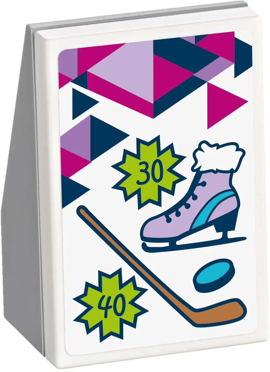 Ski resort ice rink 10730 image 2