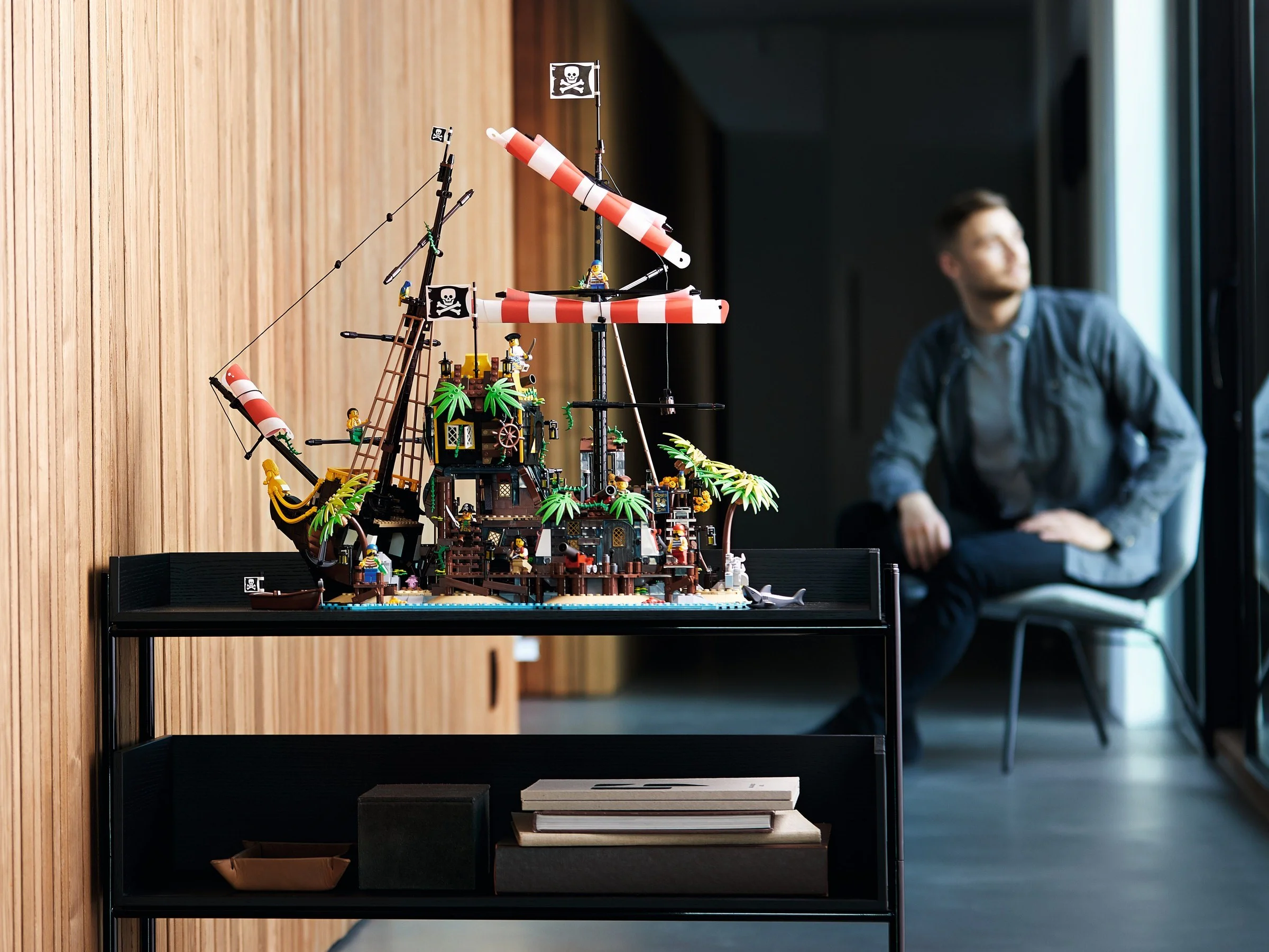 Pike Bay Pirates 斑马积木 Zebra Blocks 698998 image 19