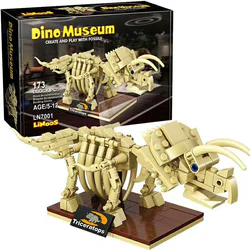 Dinosaur Museum: Triassic Dragon Skeleton