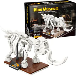 Dinosaur Museum: Mammoth Skeleton