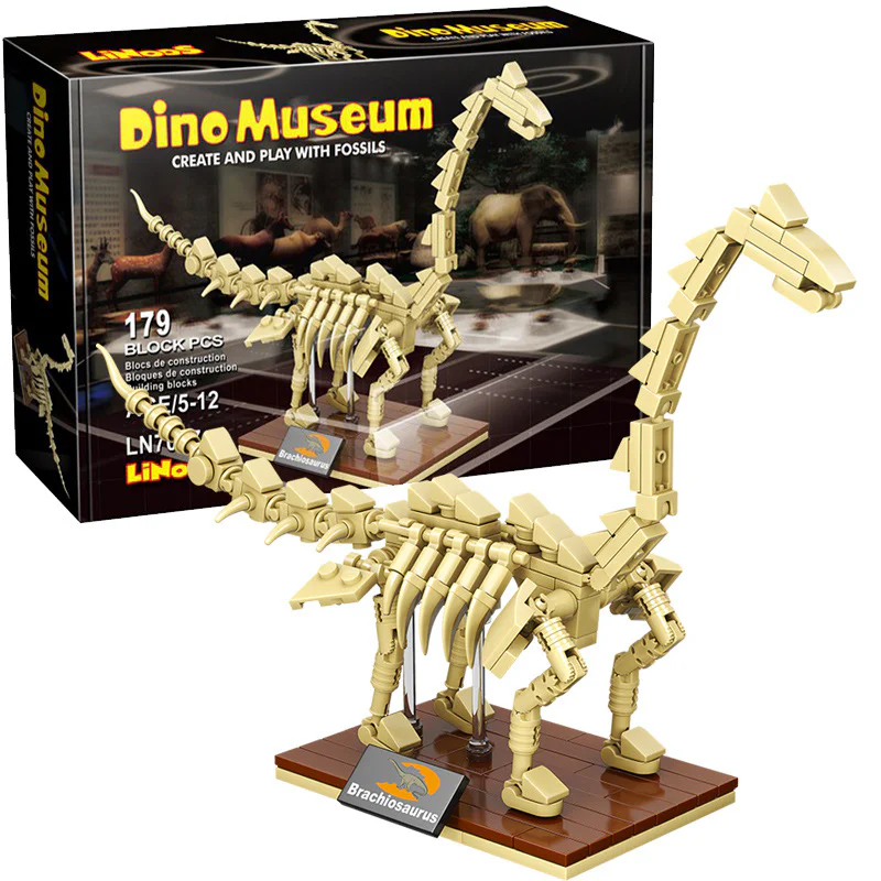 Dinosaur Museum: wristbone 哲高 ZHEGAO LN7007