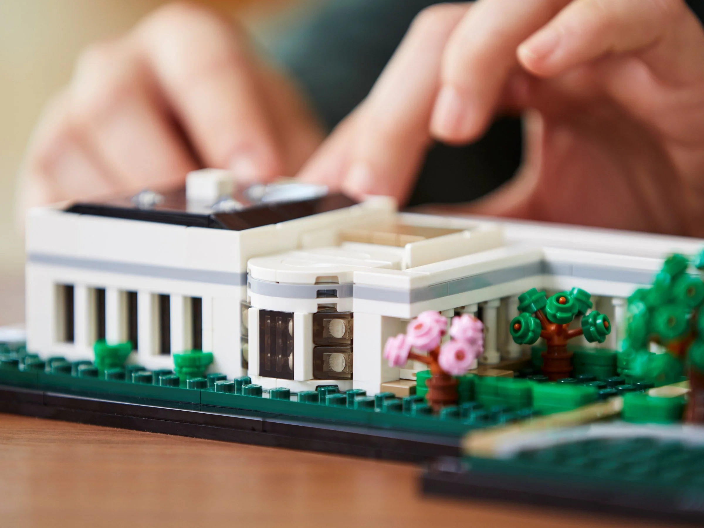 The White House 乐高 LEGO 21054 image 14