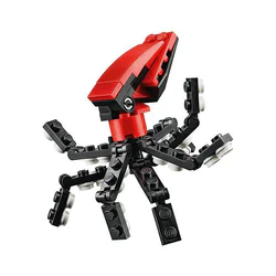 Octopus
